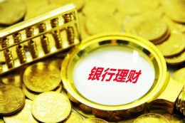 斑鸠哥是什么梗